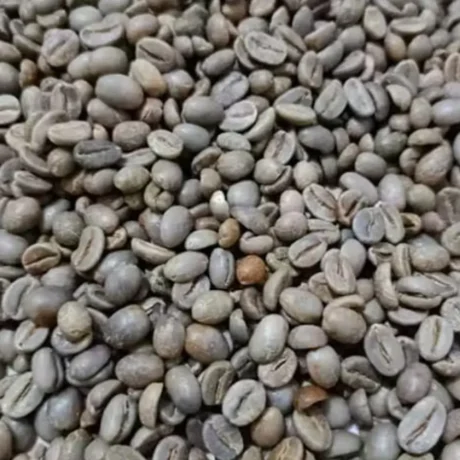 A close-up of a bowl brimming with green beans Java Ijen, highlighting their rich green hue and natural freshness.