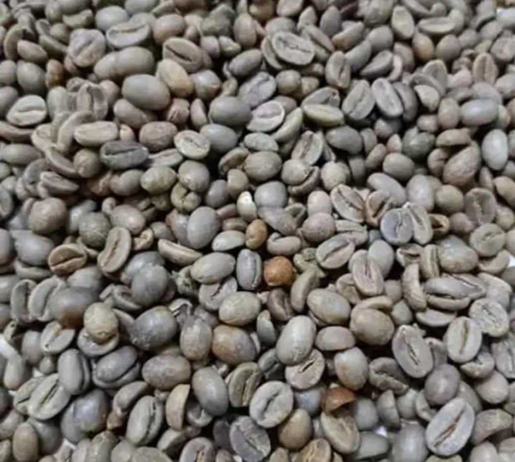 A close-up of a bowl brimming with green beans Java Ijen, highlighting their rich green hue and natural freshness.