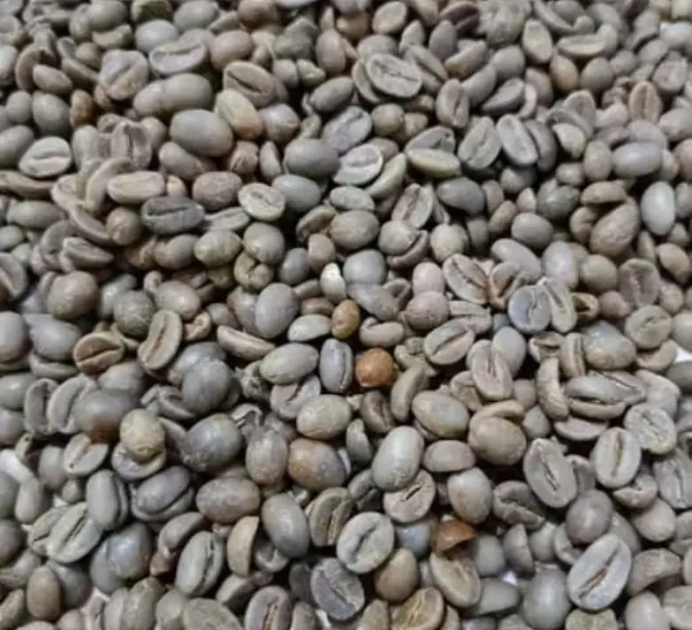Arabica Java Ijen Green Coffee Beans - Image 3
