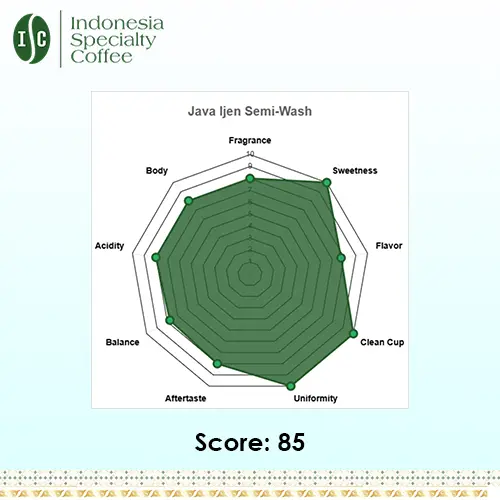 Arabica Java Ijen Green Coffee Beans - Image 4