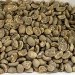 Sulawesi Toraja Green Coffee Beans - Image 4