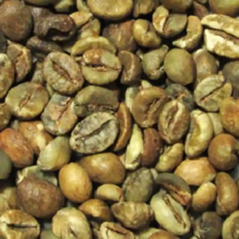 Robusta Lampung ELB 450 BC Green Coffee Beans