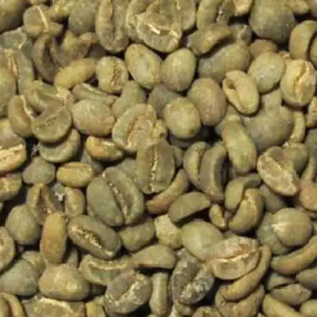 Kopi Luwak (Wild Civet Arabica Coffee) Green Coffee Beans