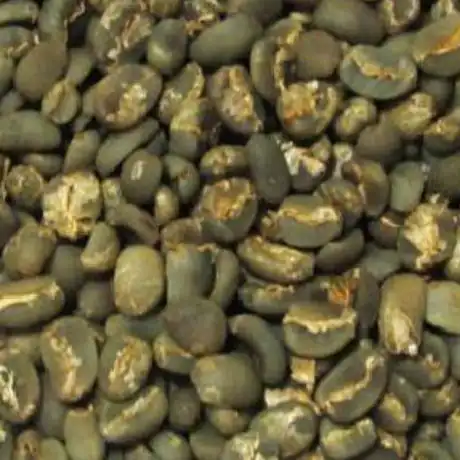 Mandheling FTO Grade 1 Green Coffee Beans