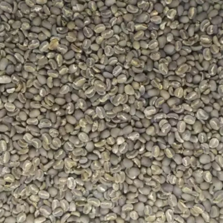 A bowl filled with a fresh pile of green beans Flores, showcasing their vibrant color and crisp texture.