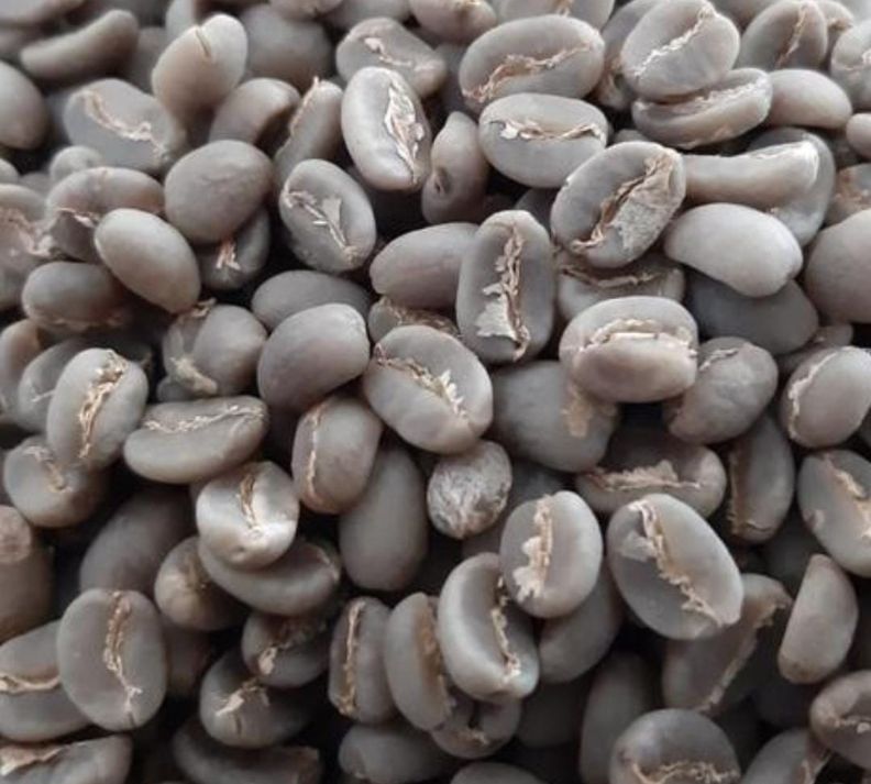 Arabica Aceh Gayo Green Coffee Beans - Image 4