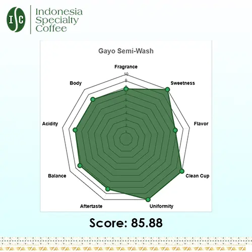 Arabica Aceh Gayo Green Coffee Beans - Image 5