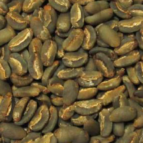 arabica gayo longberry green coffee beans