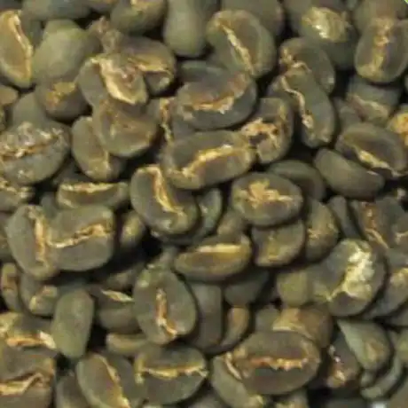 Jumbo Eighteen Plus Green Coffee Beans
