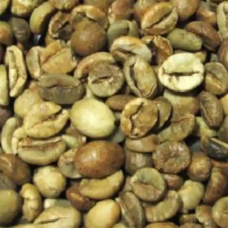 Robusta green coffee beans