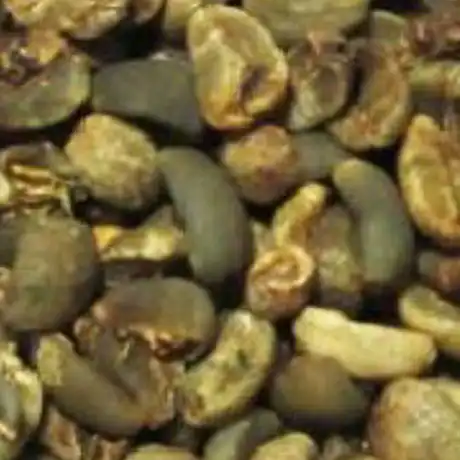 Sumatra Tiger Grade 3 Special Green Coffee Beans