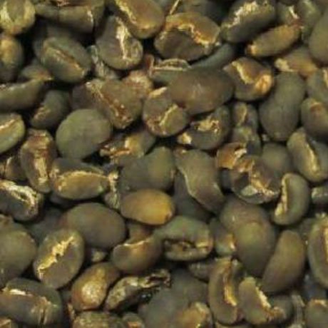 Toraja Coffee Bean