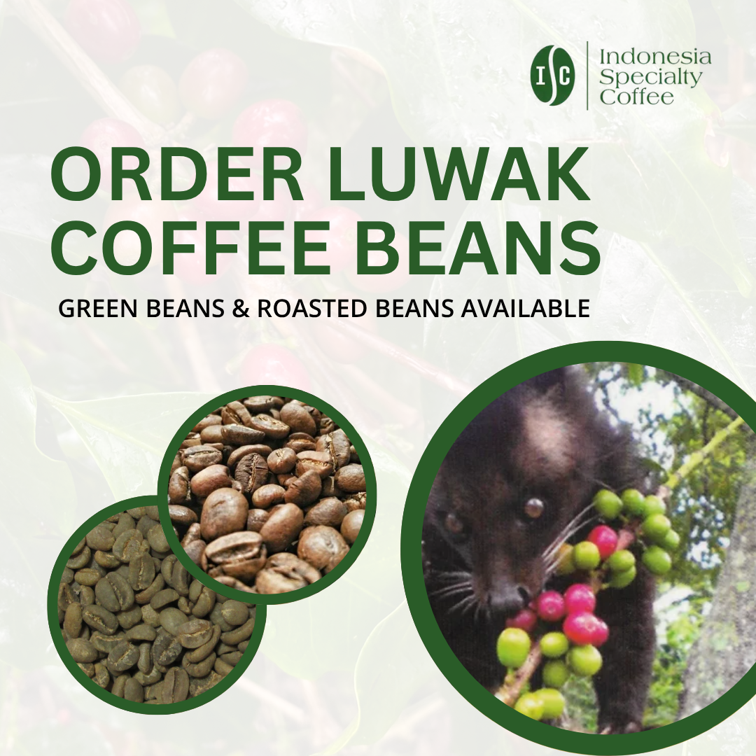 Luwak Coffee Promotion