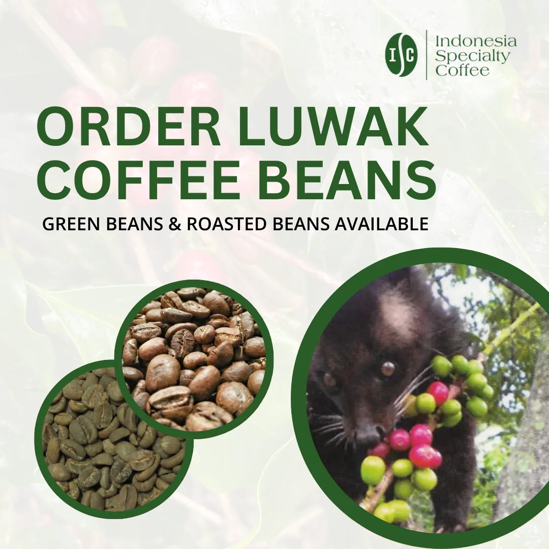Luwak Coffee Promotion