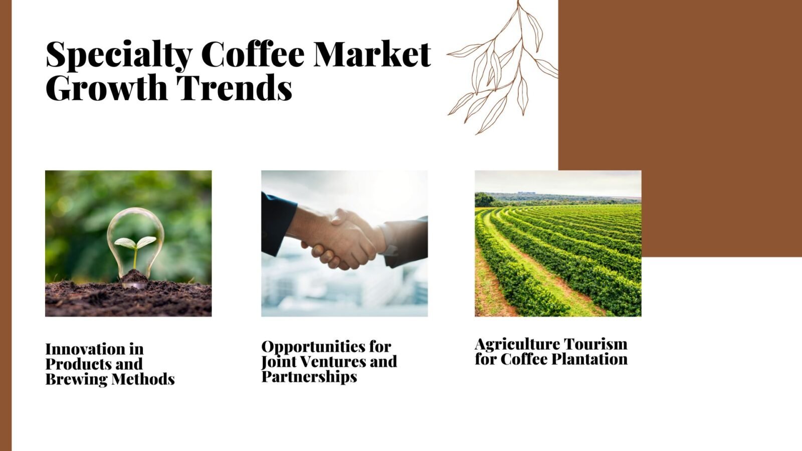 There are three growing trends in the specialty coffee market