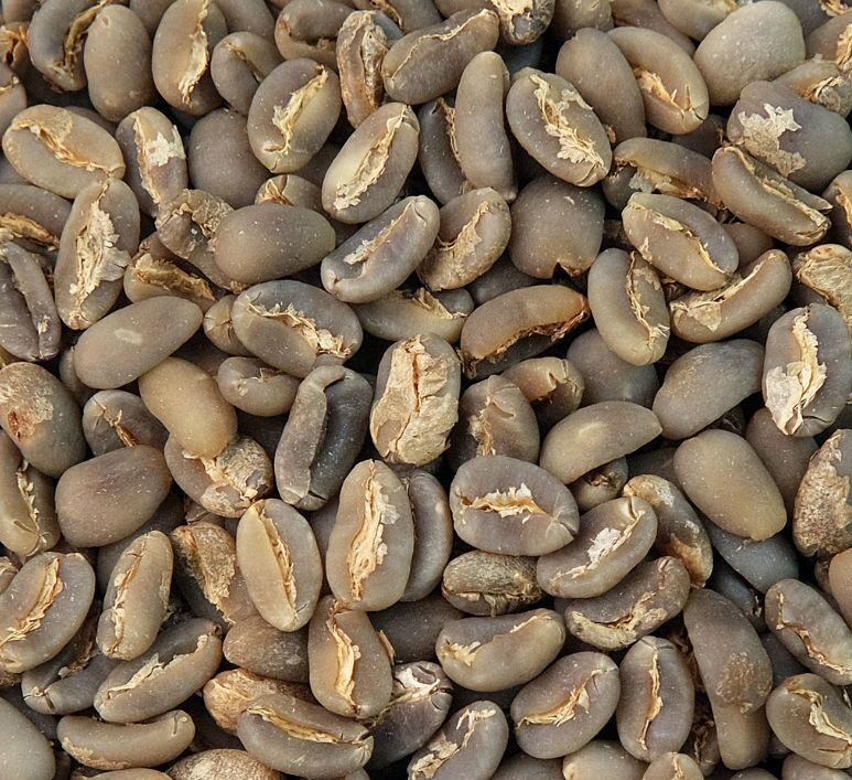 Gayo Long Berry Green Coffee Beans - Image 4