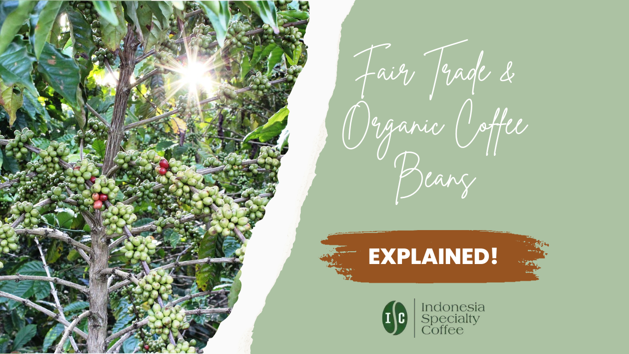 Exploring the World of Fair Trade Coffee - A Guide to Fair Trade and Organic Coffee