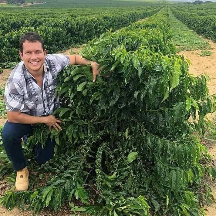 coffee plantation brazil