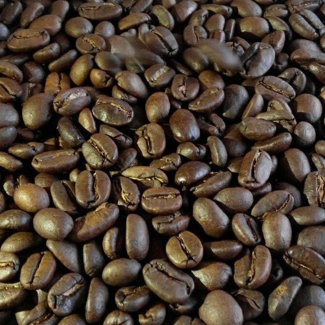 Gayo Delight - Roasted Arabica Aceh Gayo