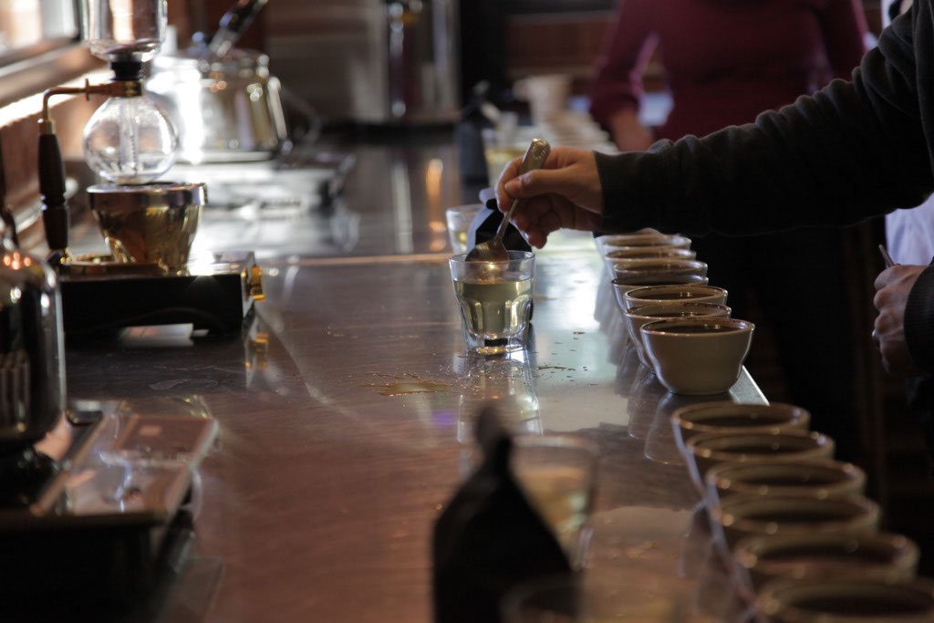 Cupping Session for Specilaty Coffee