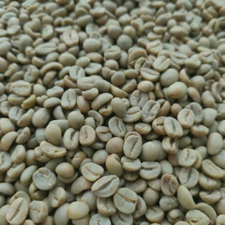 Arabica Sumatra Mandheling Café vert en grains