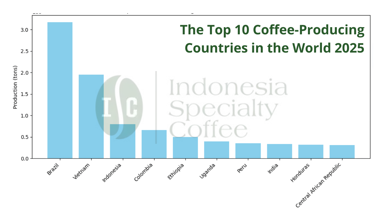 Les 10 premiers pays producteurs de café dans le monde en 2025