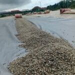 Fully Dried Green Coffee Beans
