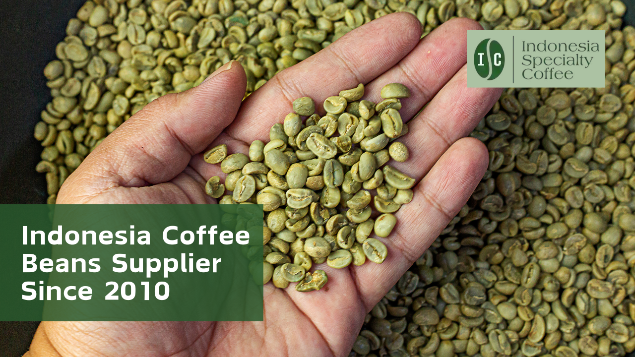 Best Coffee Beans Supplier in Egypt