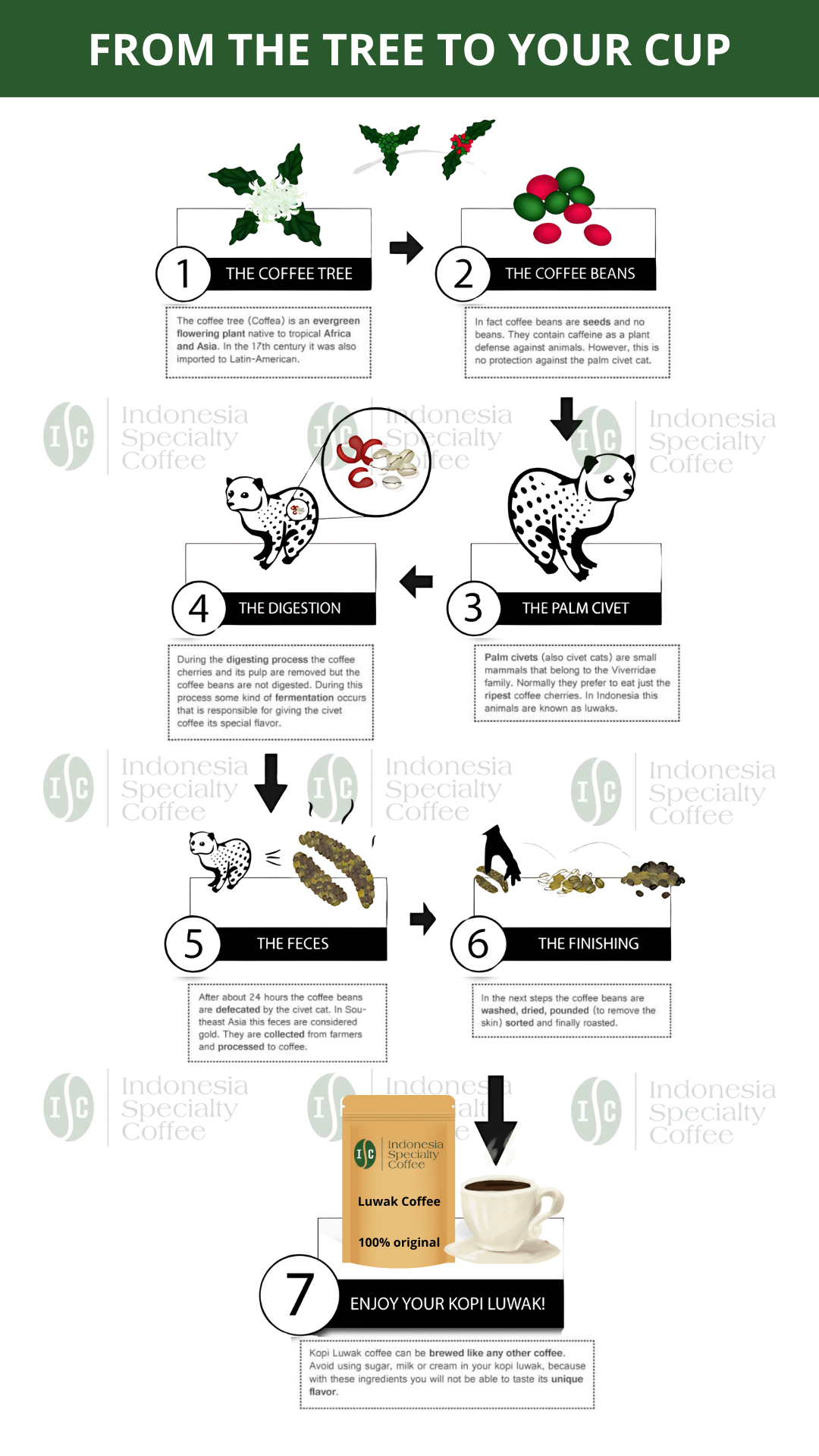 Proceso del café Kopi Luwak