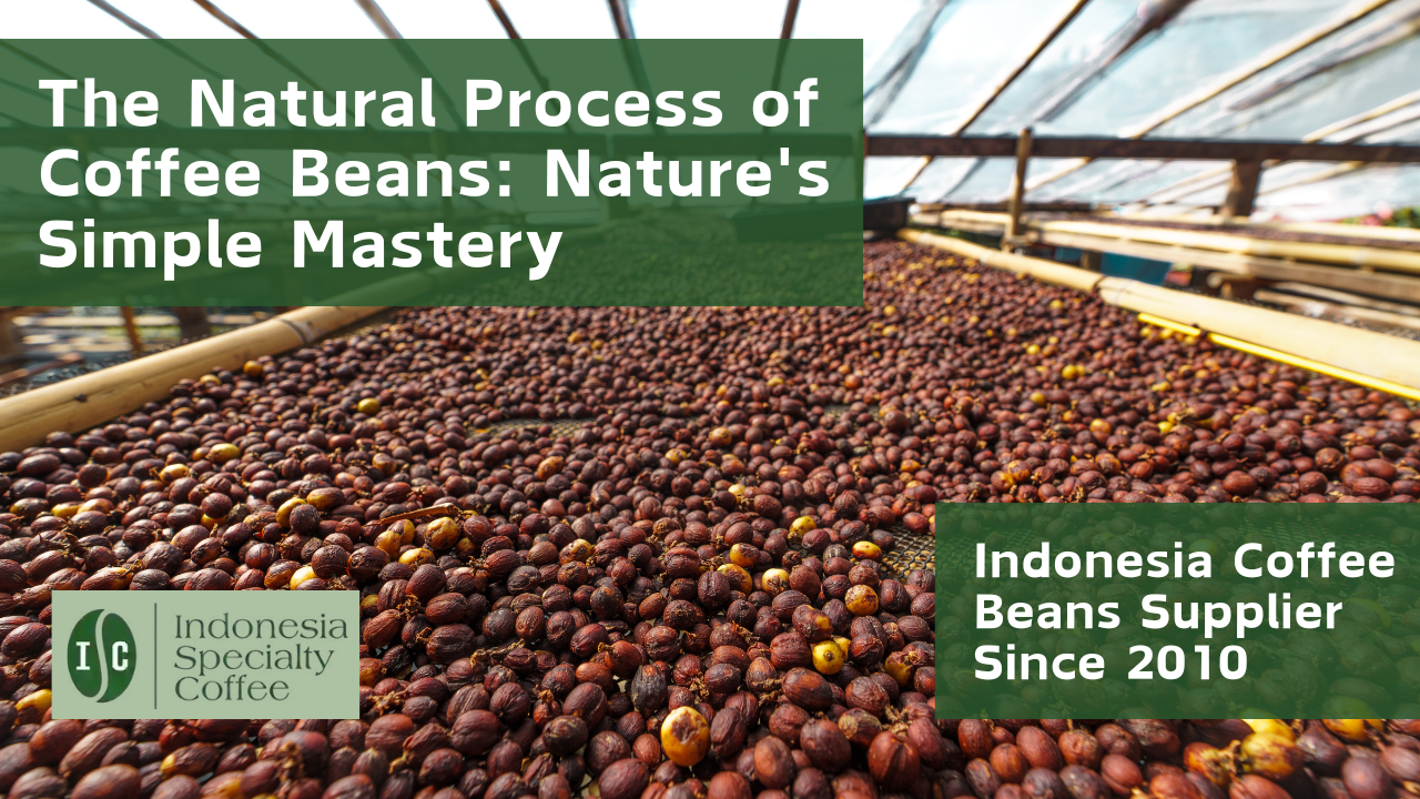 Natural Process Coffee Beans