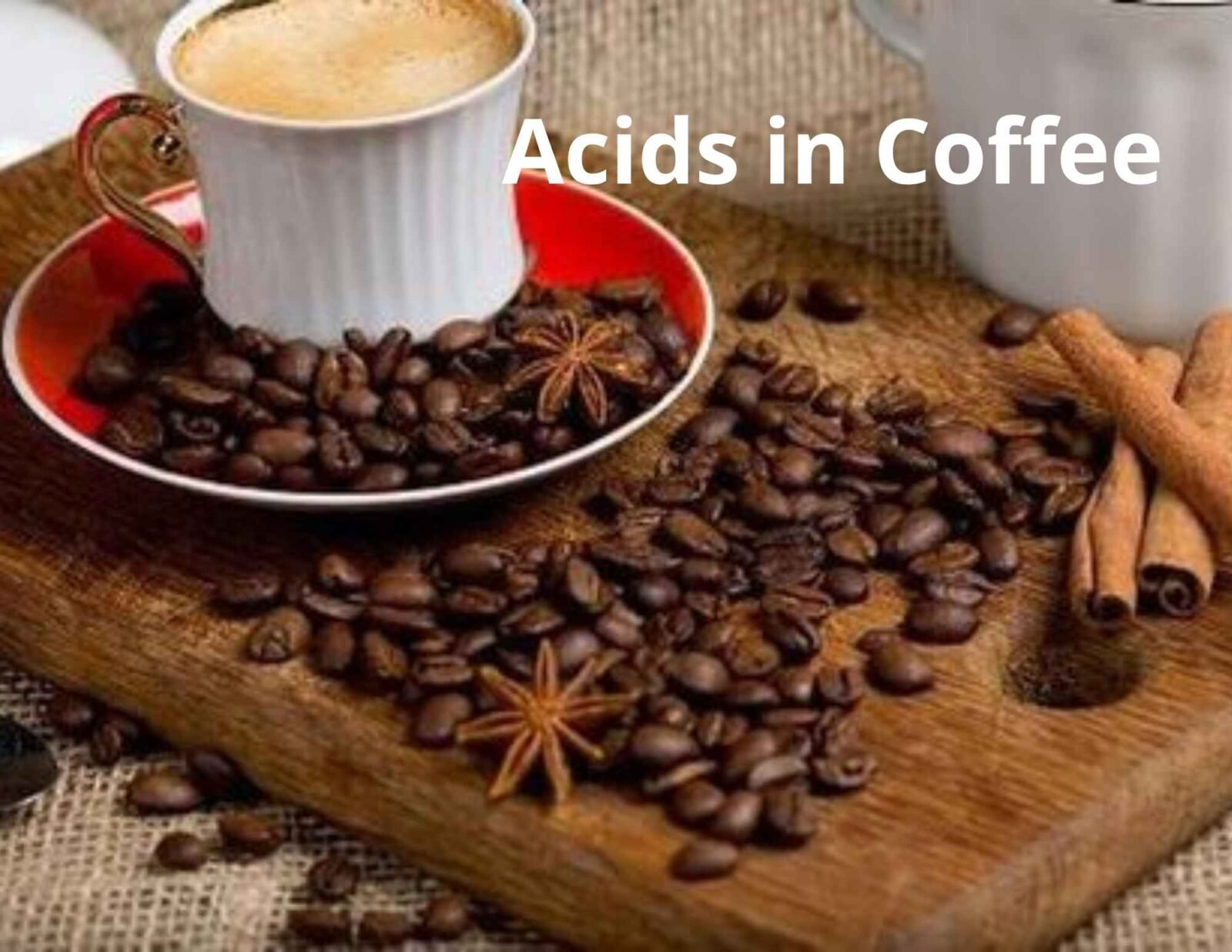 Acids in Coffee