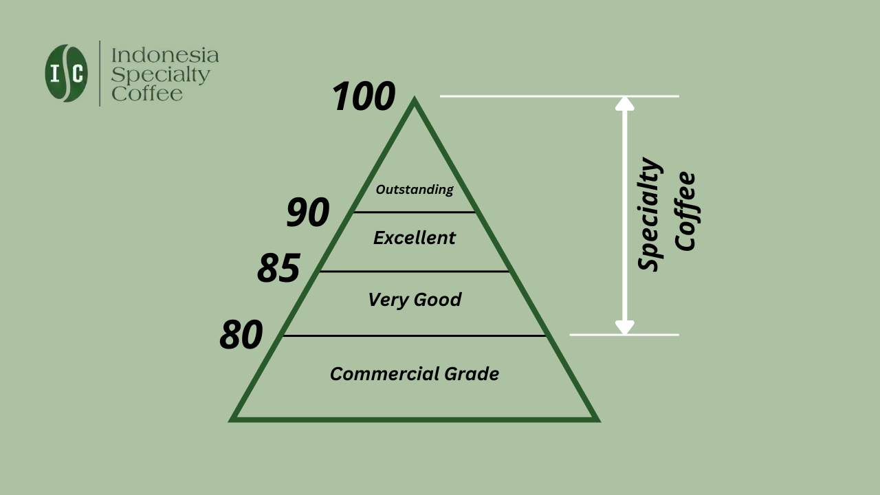 Specialty Coffee Grading Scale by SCA