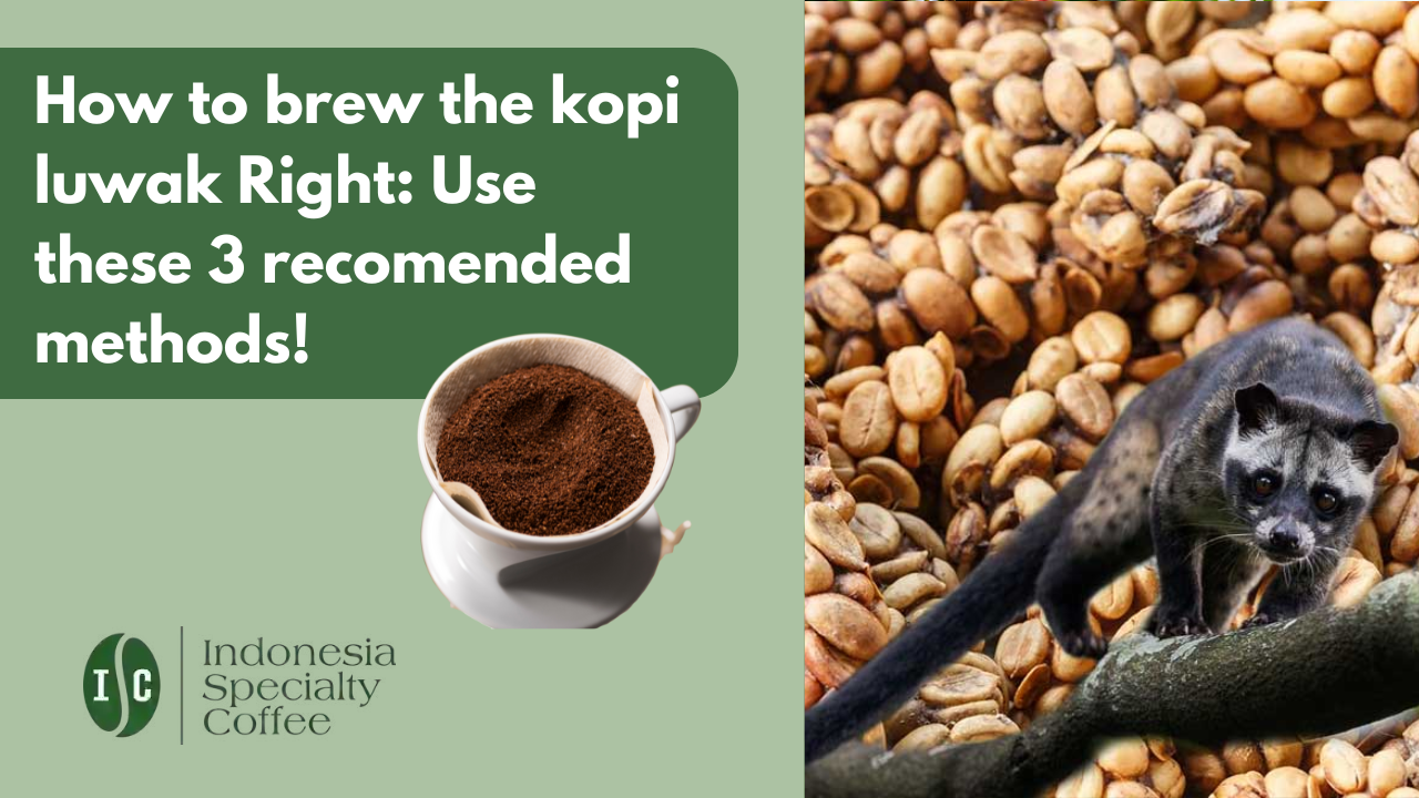 How to brew the kopi luwak Right Use these 3 recomended methods!