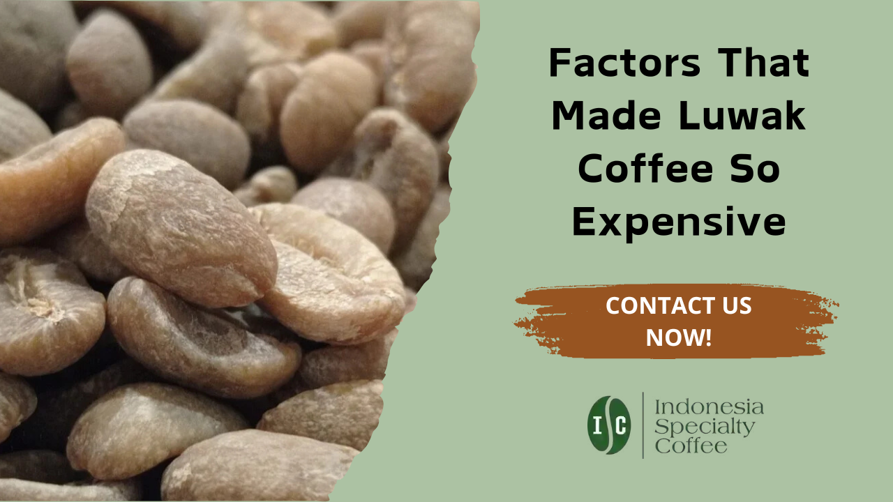 Factores que encarecen el café Luwak