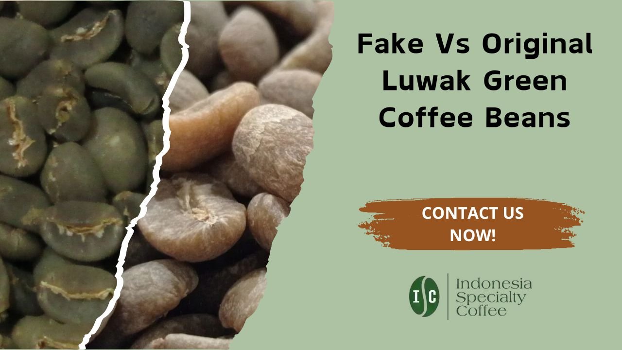 Fake Vs Original Luwak Green Coffee Beans