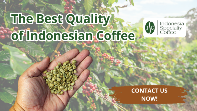 Grade 1 Indonesian Coffee Beans For Coffee Business