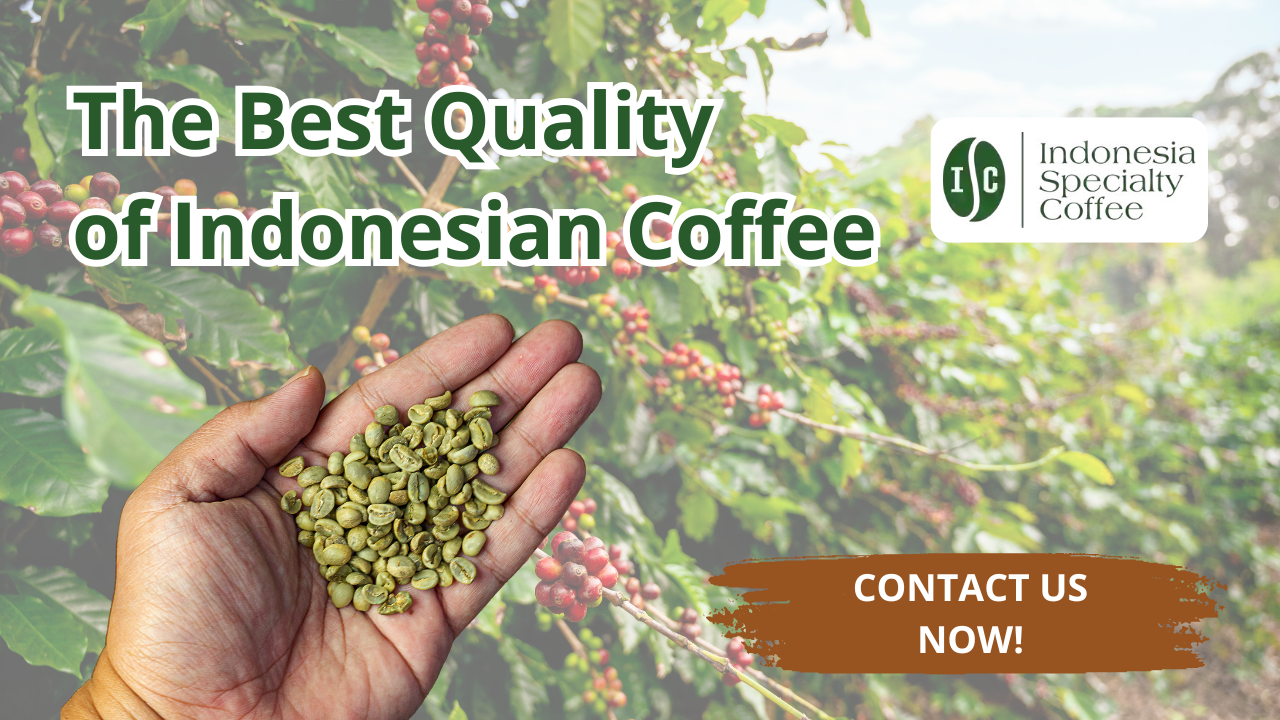 Grado 1 Granos de café de Indonesia para el negocio del café