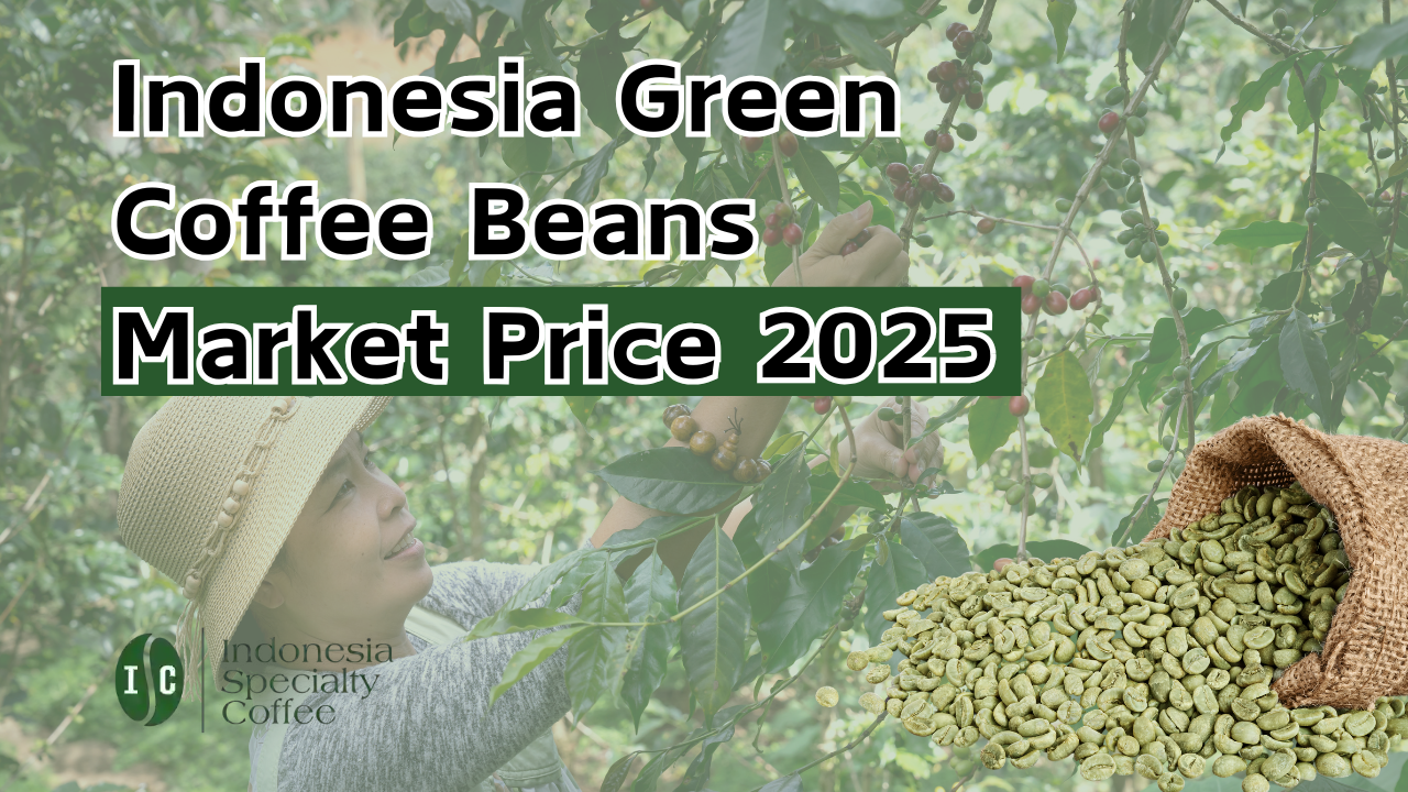 Precio del mercado de granos de café verde de Indonesia 2025