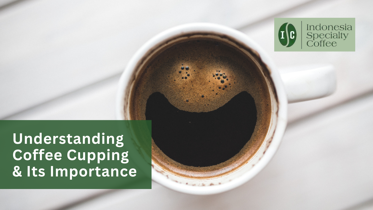 Understanding Coffee Cupping & Its Importance