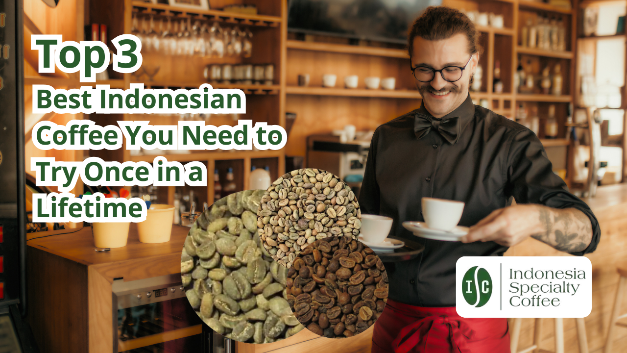 Top 3 Best Indonesian Coffee You Need to Try Once in a Lifetime