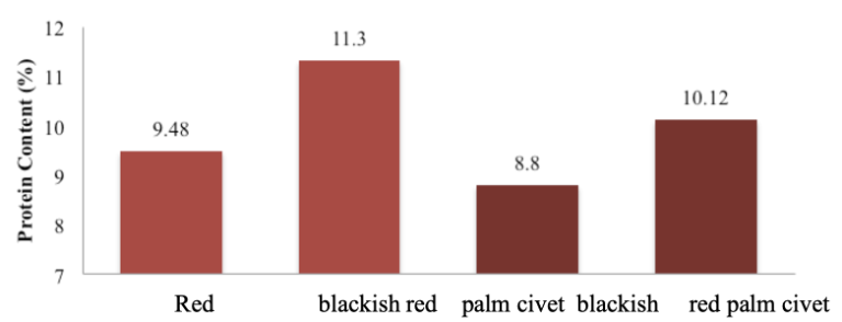 Protein content of Kopi Luwak and Arabica coffee beans