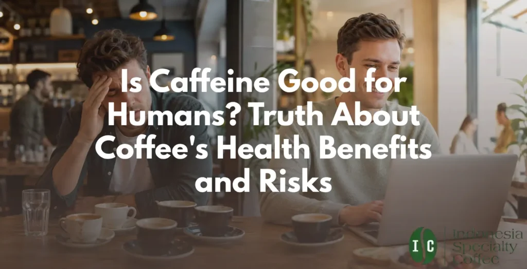 Is Caffeine Good for Humans? Truth About Coffee’s Health Benefits and Risks