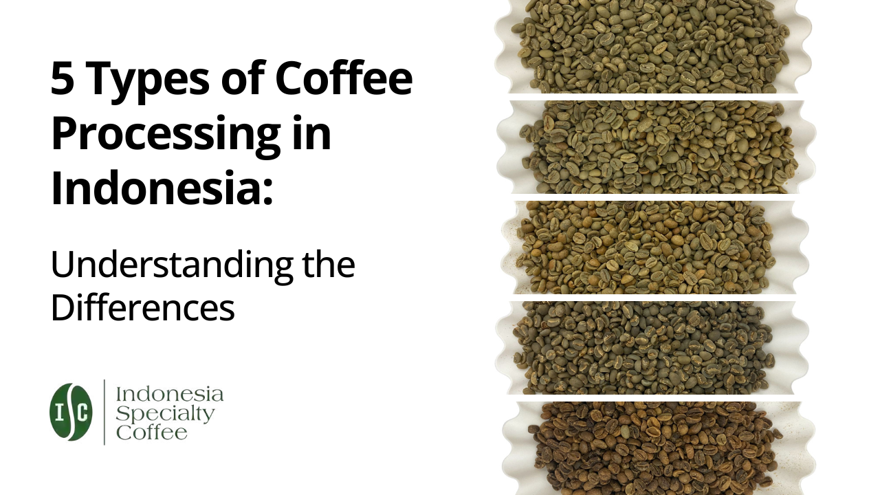 5 Types of Coffee Processing in Indonesia Understanding the Differences