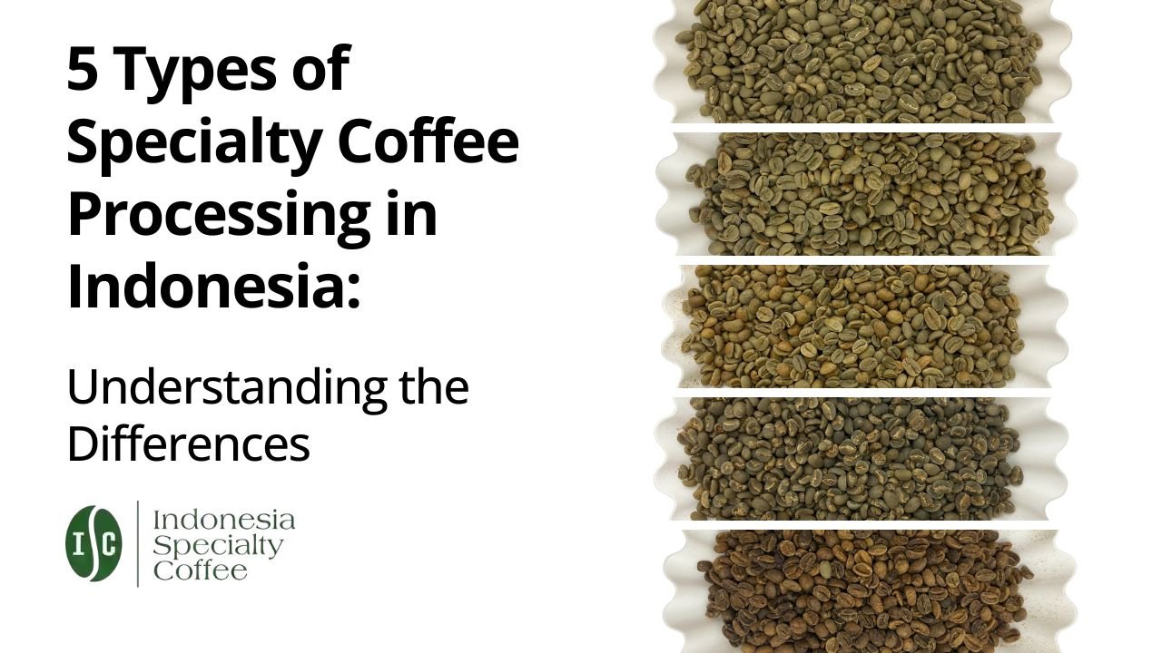 5 Types of Specialty Coffee Processing in Indonesia Understanding the Differences