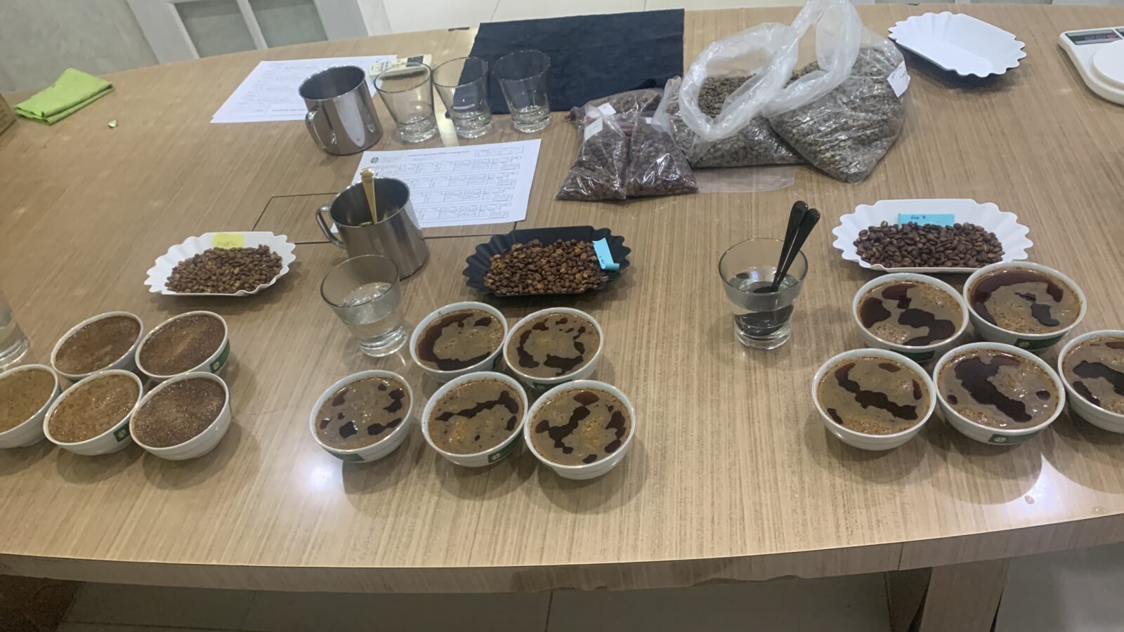 Cupping at Origin: Experiencing Coffee Where It Begins