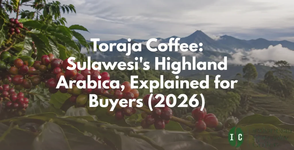 Toraja Coffee: Sulawesi’s Highland Arabica, Explained for Buyers (2026)