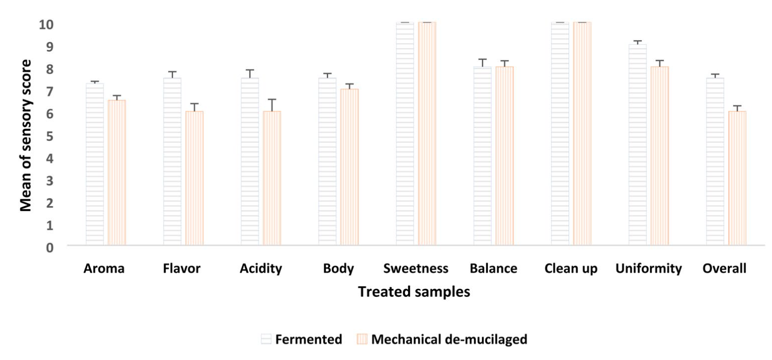 Coffee Fermentation Sensory Impact: Unlocking a Richer, Fruitier Cup of Coffee