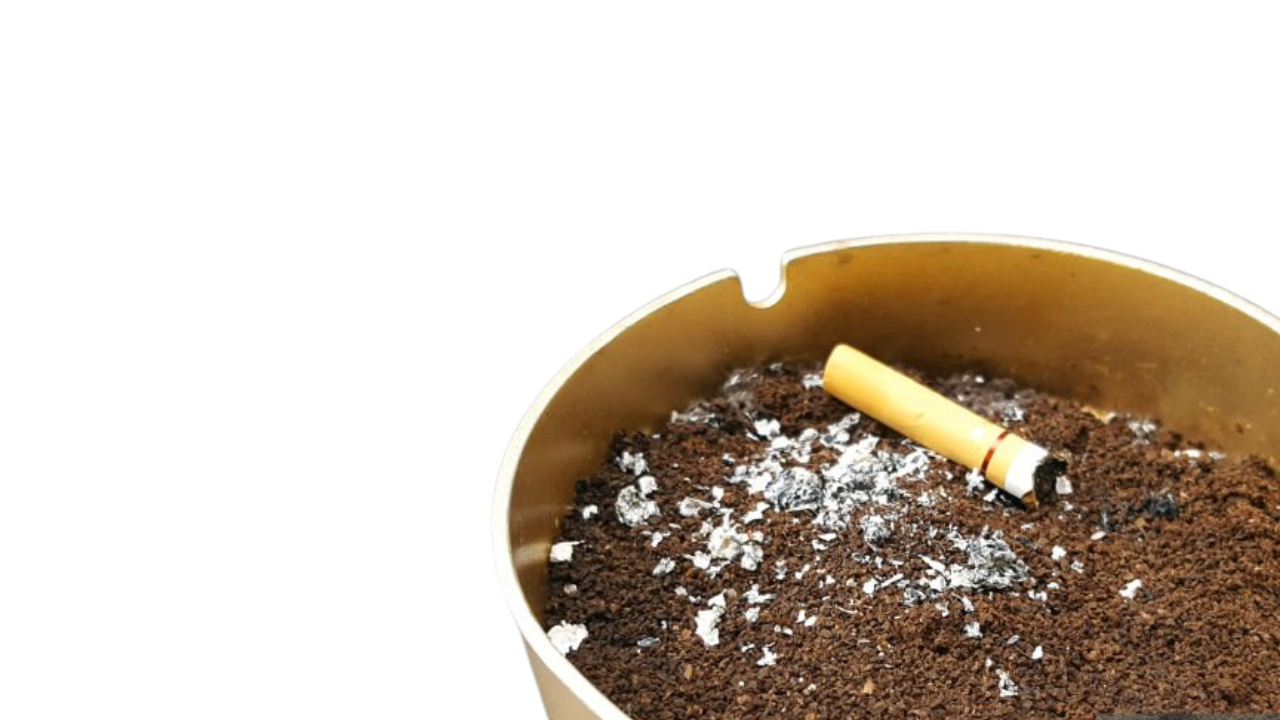 Coffee Grounds Ashtrays