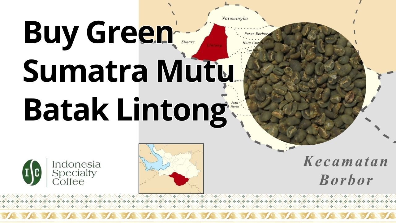Buy Green Sumatra Mutu Batak Lintong
