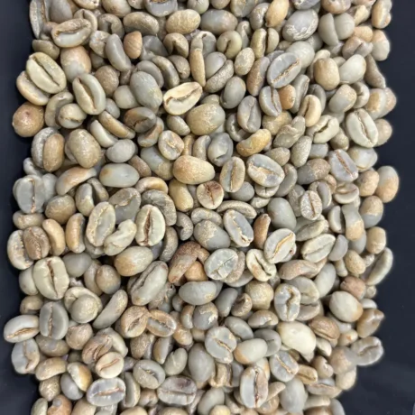 A bowl filled with Gayo Honey Green coffee beans on a table, highlighting the natural sheen of the beans.